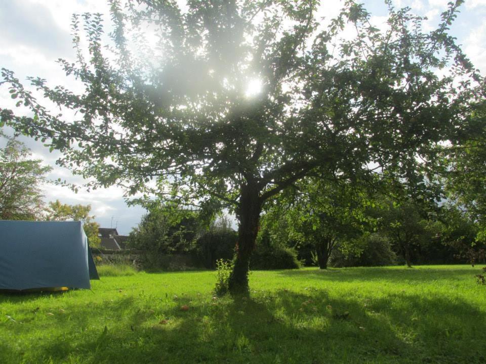 Fontaineblhostel Hostel & Camping Near Fontainebleau La Chapelle-la-Reine エクステリア 写真